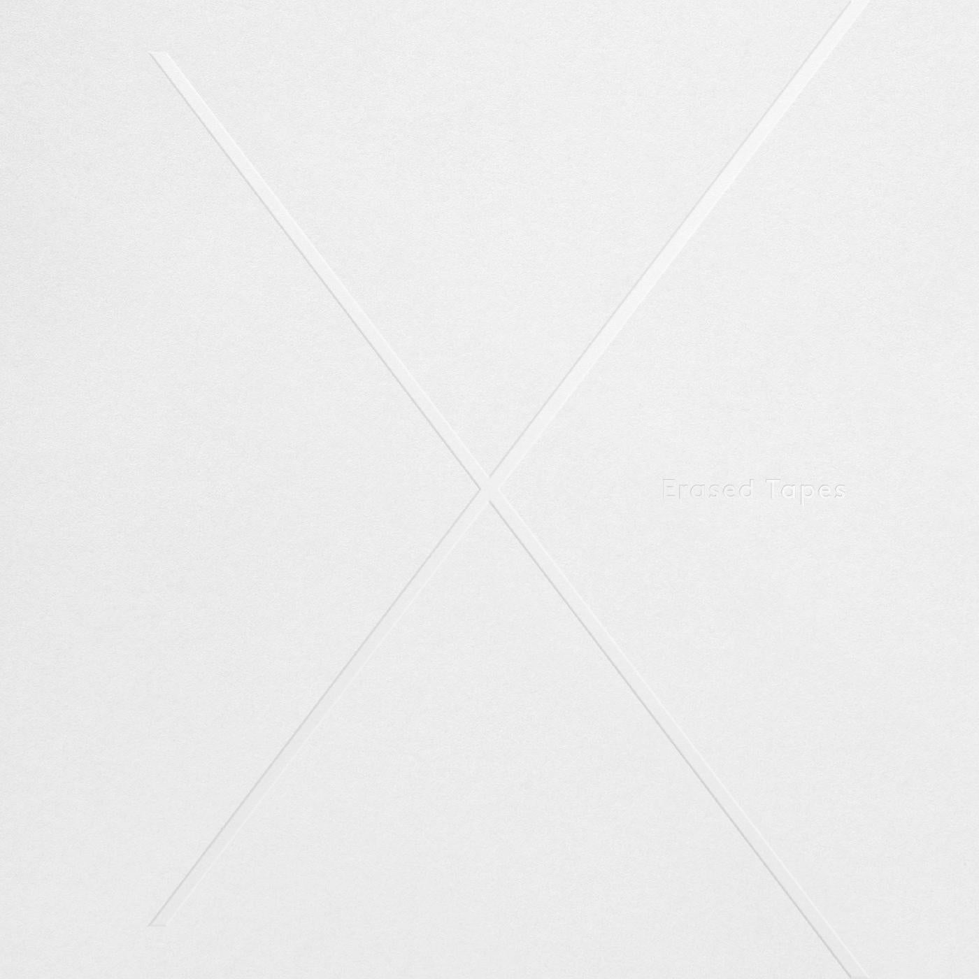 Various Artists - 1+1=X | Vinyl