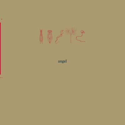 ANGEL - 26000 | Vinyl