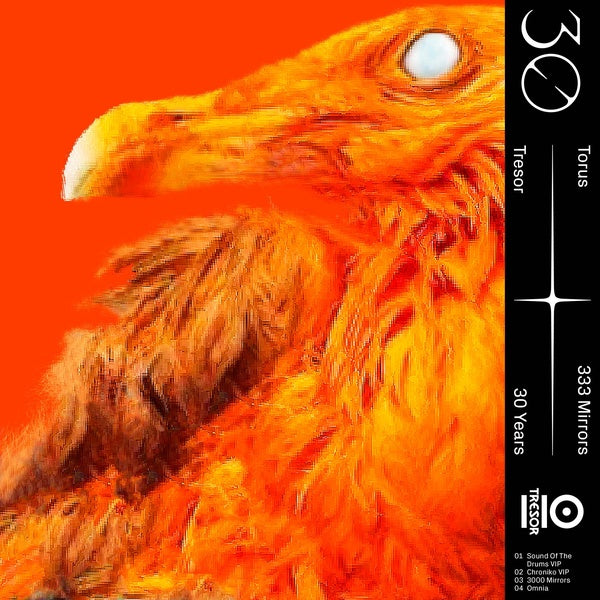TORUS - 333 Mirrors | Vinyl