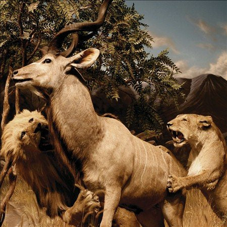 Interpol | OUR LOVE TO AD(CD+DV | CD