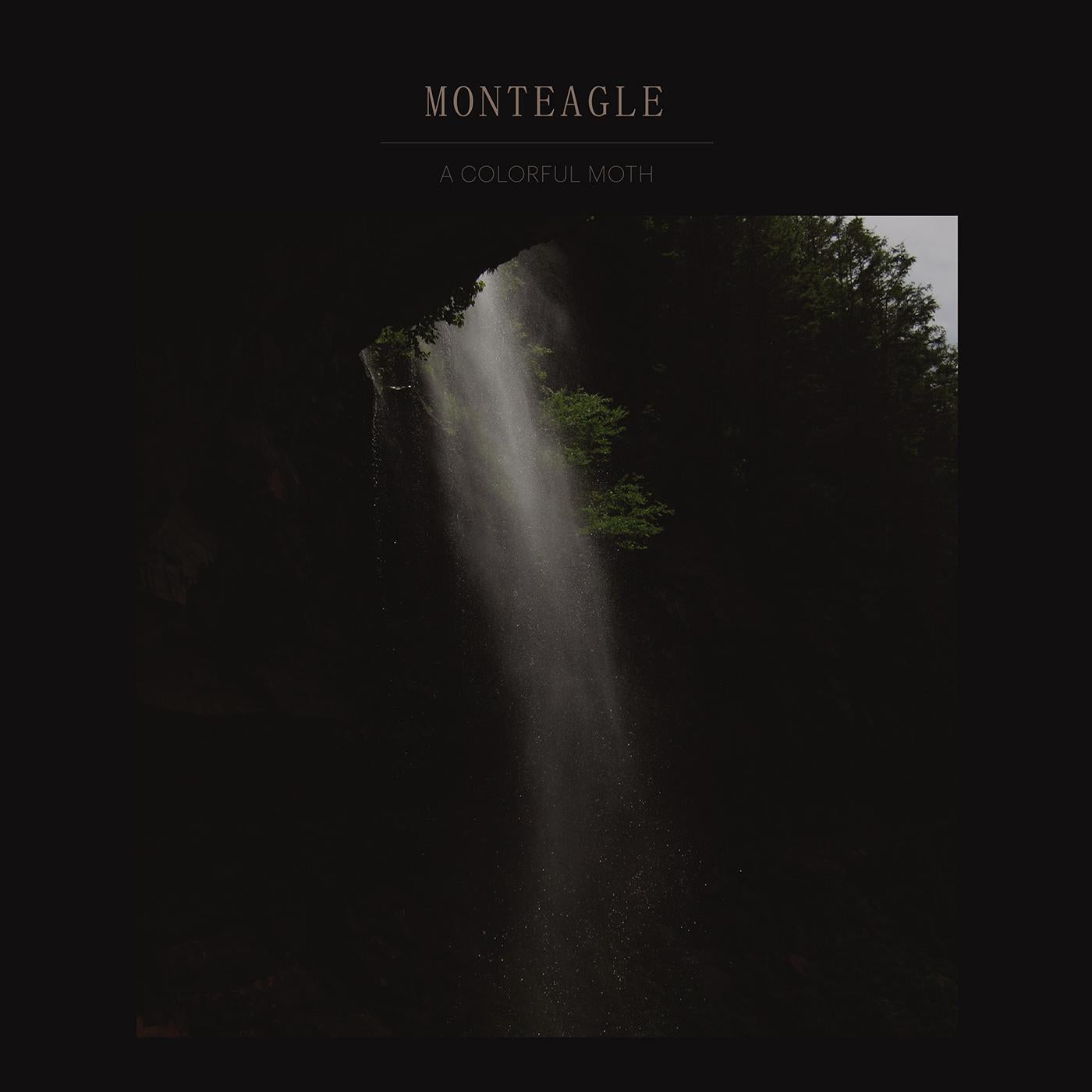 Monteagle - A Colorful Moth | Vinyl