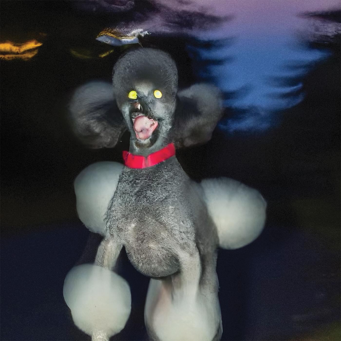 Hit Bargain - A DOG A DEER A SEAL | Vinyl