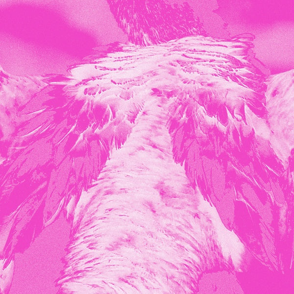 KATE CARR - A field guide to phantasmic birds | CD