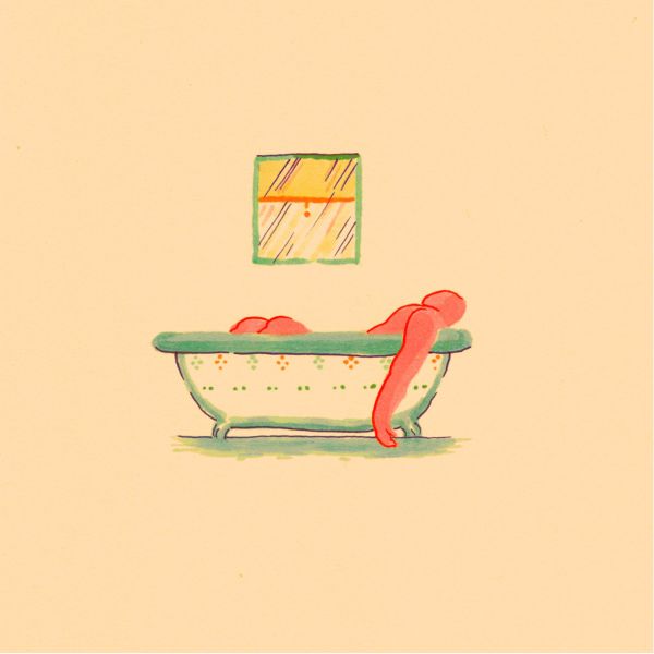 Pile - A Hairshirt Of Purpose | Vinyl