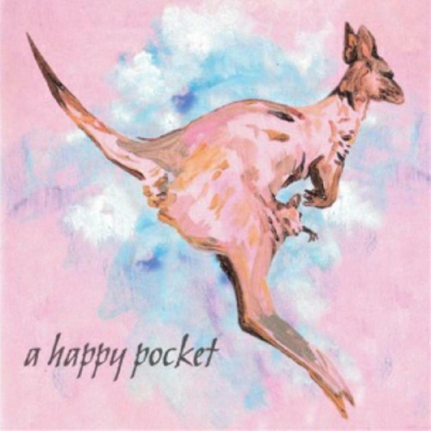 Trashcan Sinatras | A Happy Pocket (PINK VINYL) | Vinyl