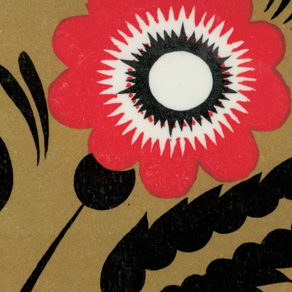 A Hawk And A Hacksaw - A Hawk And A Hacksaw | CD