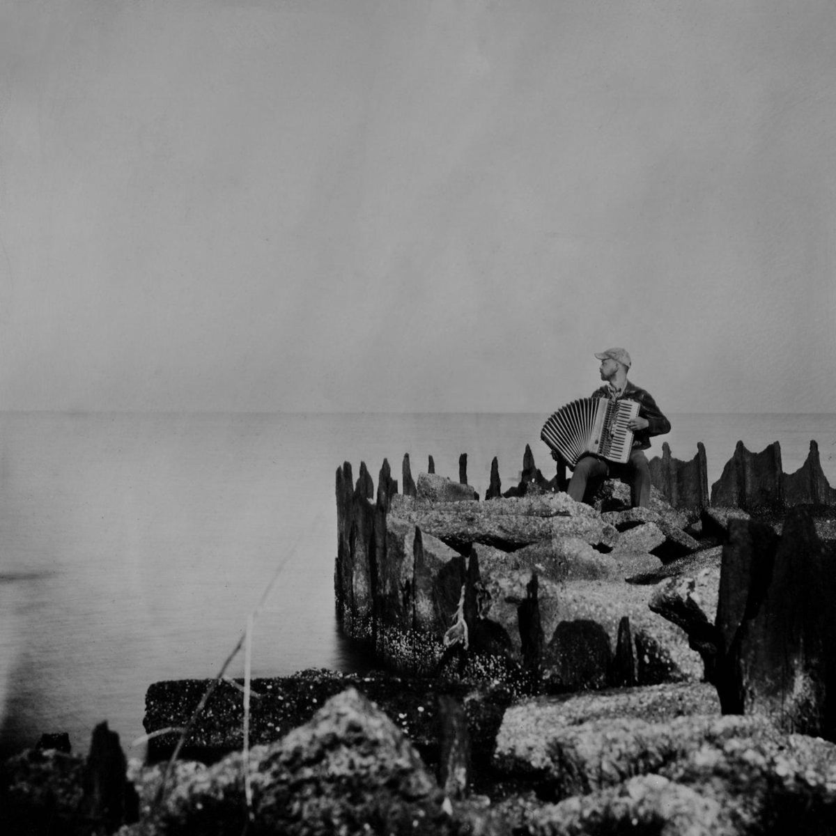 Walt McClements - A Hole In The Fence | Vinyl
