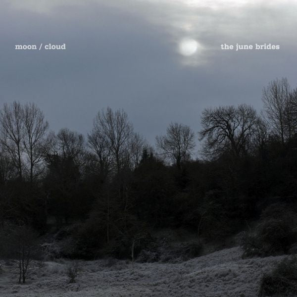 The June Brides - A January Moon - 7" | Vinyl