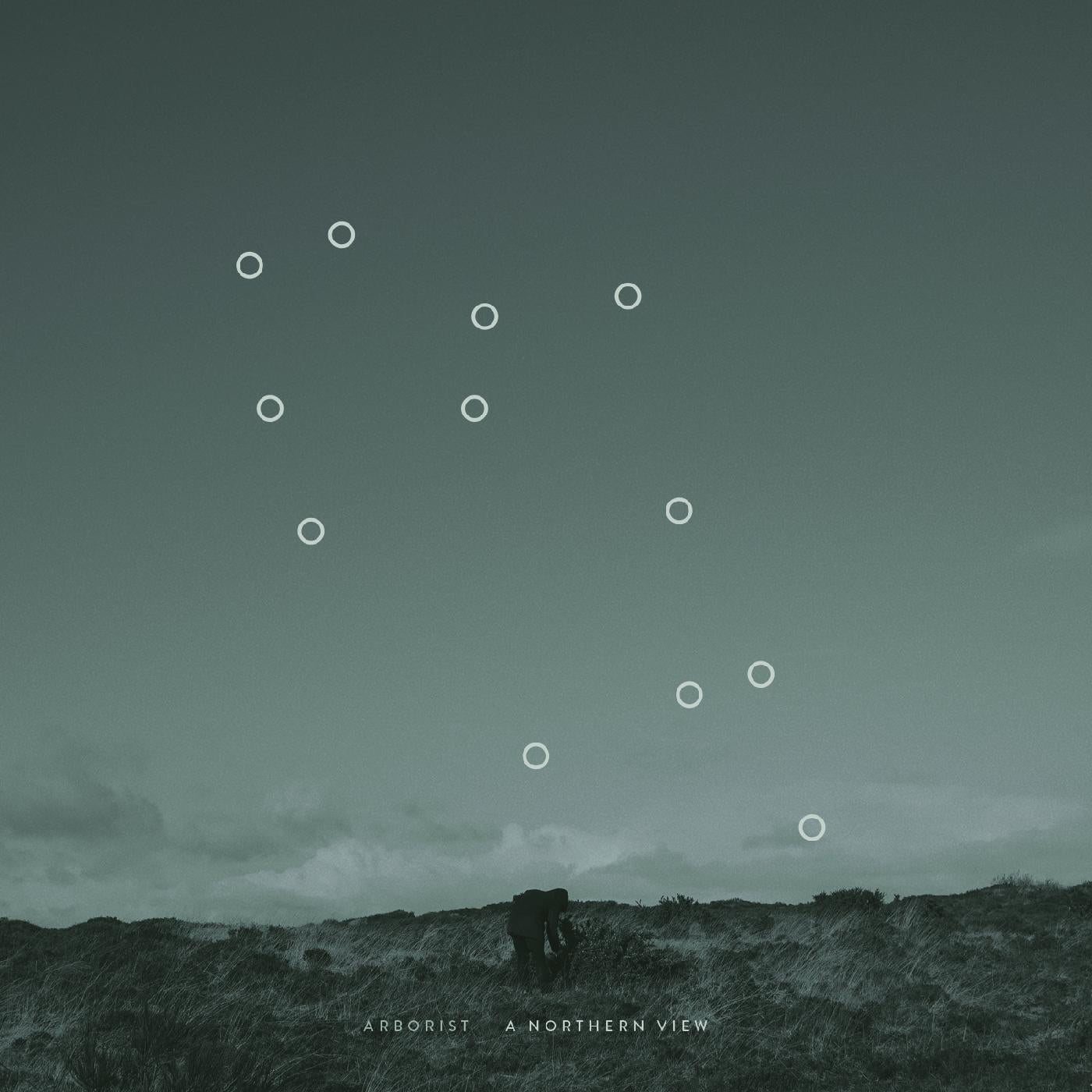 Arborist - A Northern View | Vinyl