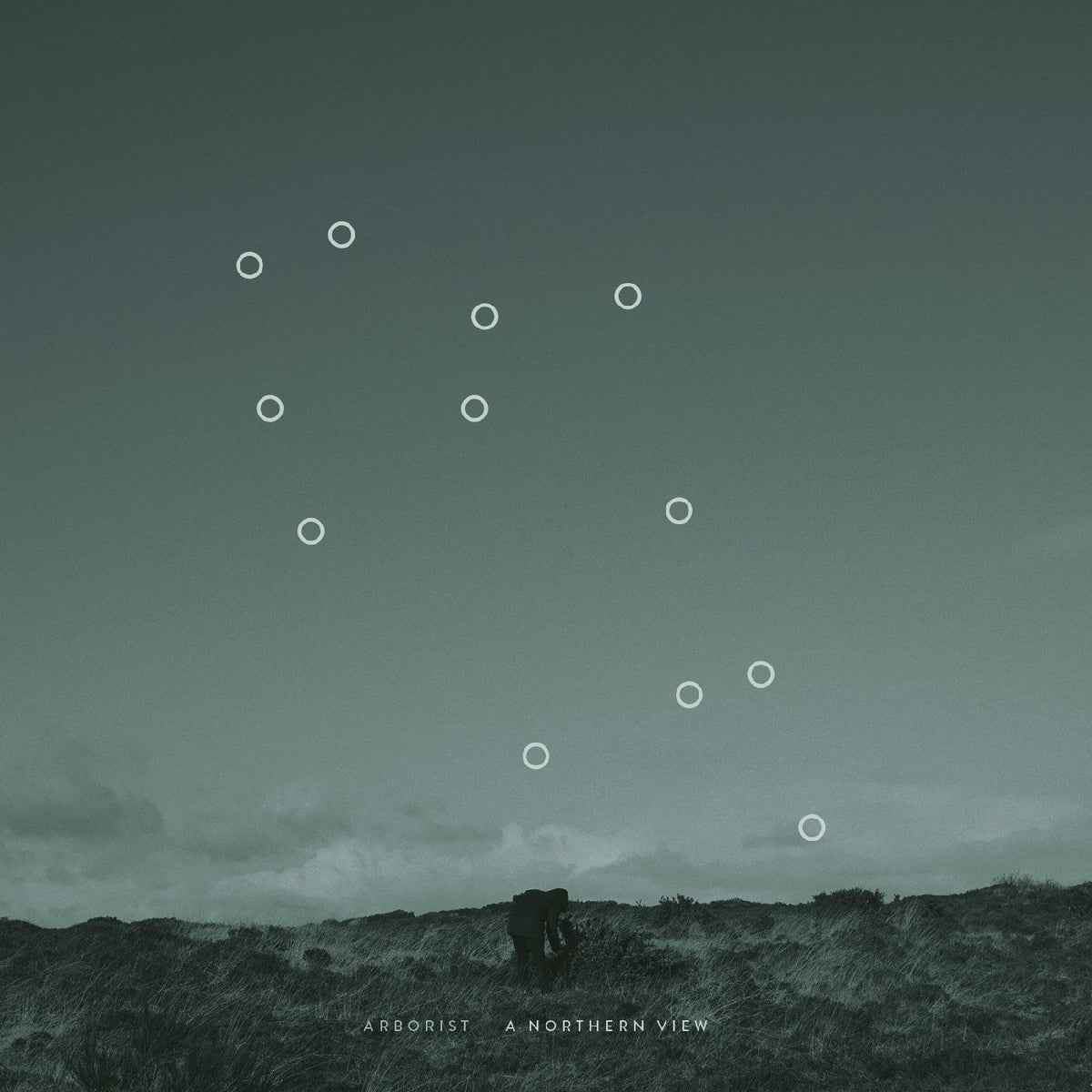 Arborist - A Northern View | CD