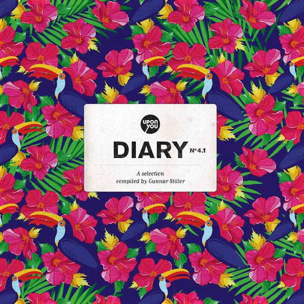 VA - A Selection of Diary 4.1 | Vinyl