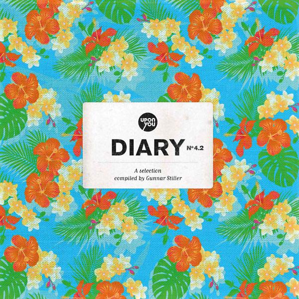 VA - A Selection of Diary 4.2. | Vinyl