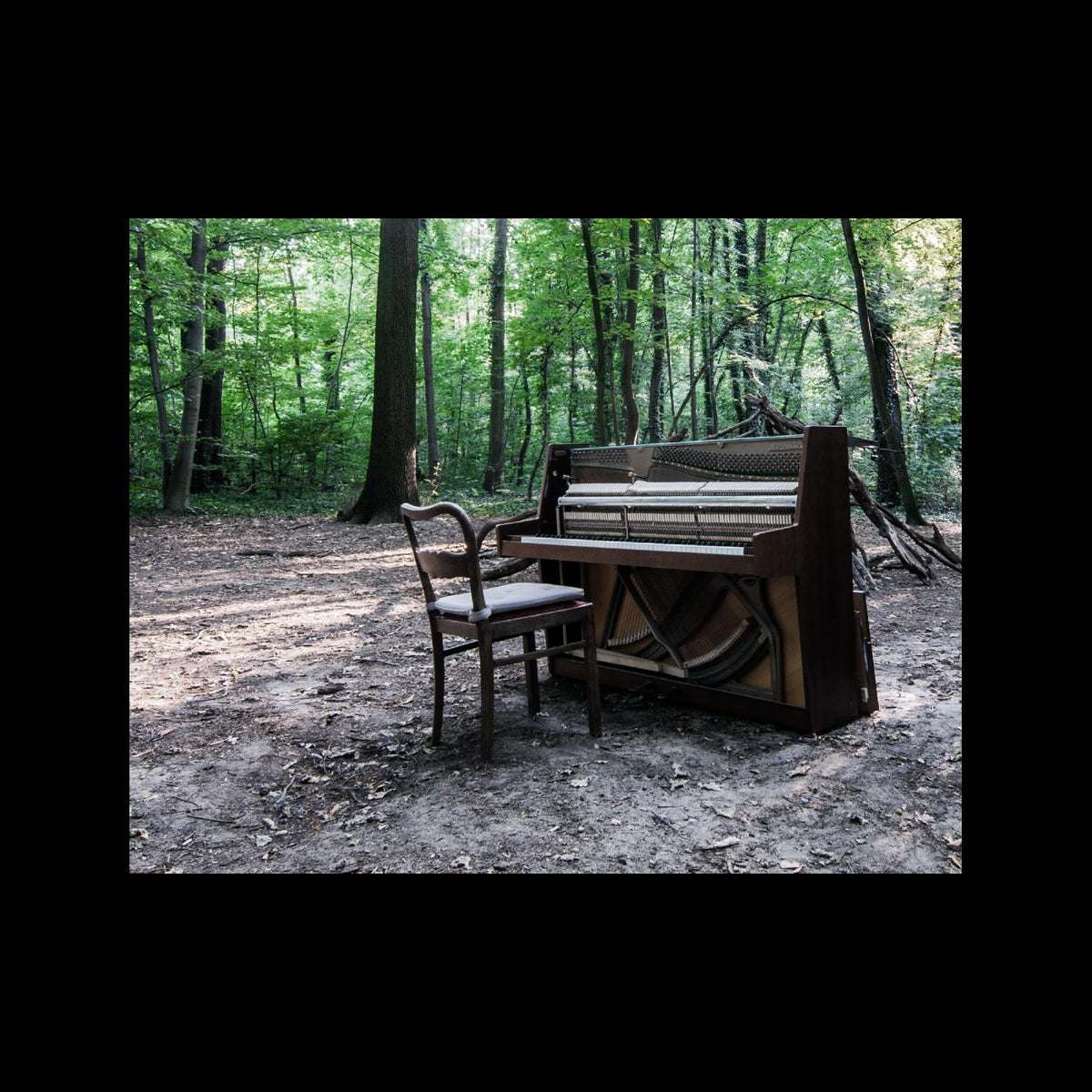 The Eye Of Time - Acoustic II | CD
