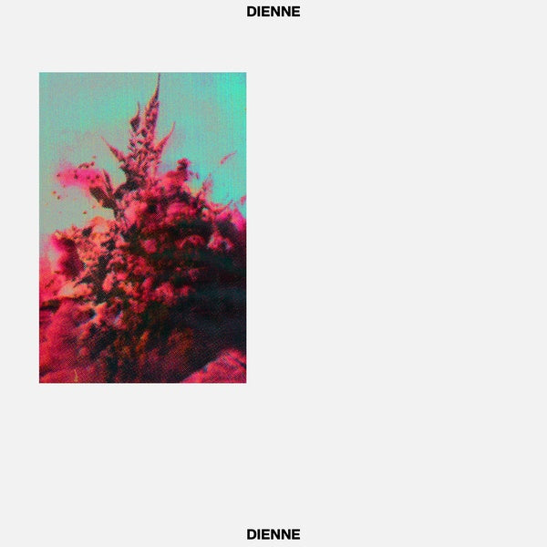 DIENNE - Addio | Vinyl