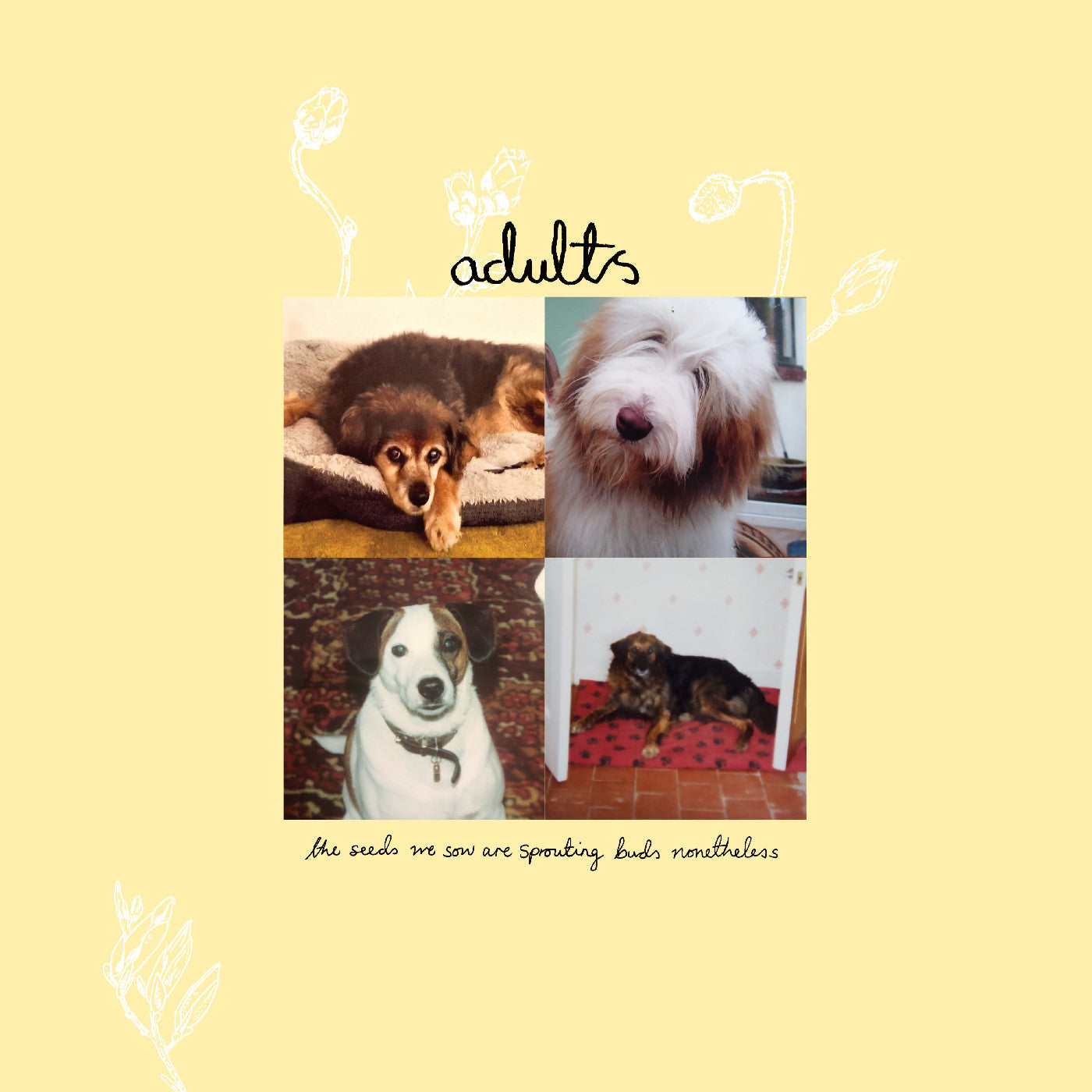 Adults | Green Vinyl) The Seeds We Sow Are Sprouting Buds Nonetheless (Indie Exclusive | Vinyl