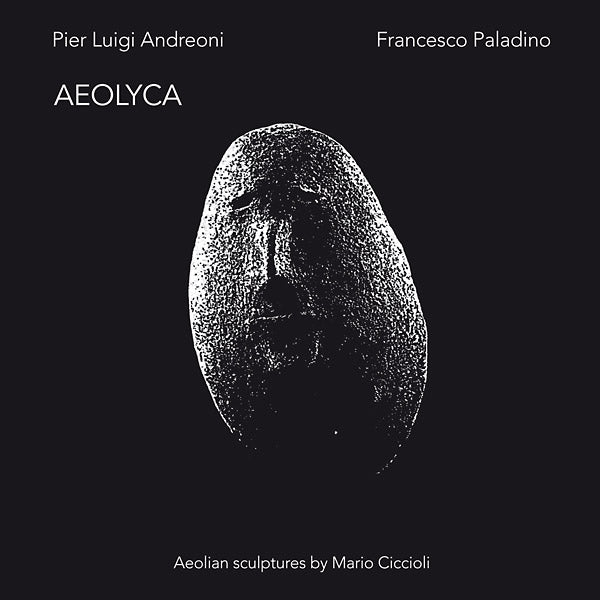 PIER LUIGI ANDREONI/FRANCESCO PALADINO - Aeolyca | Vinyl