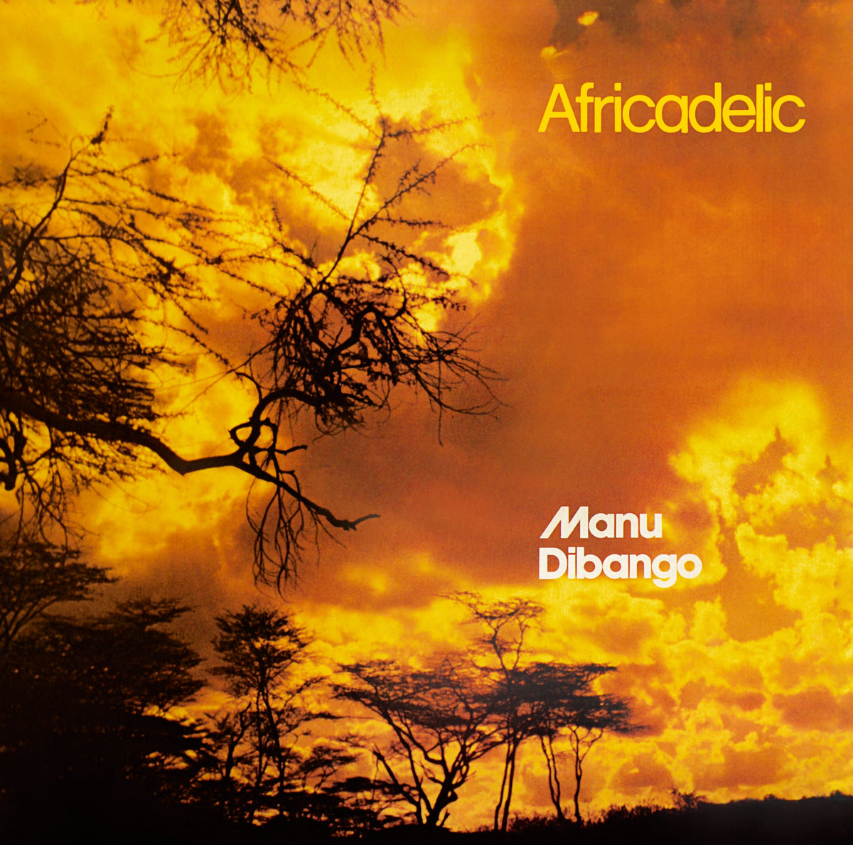 Manu Dibango - Africadelic | CD