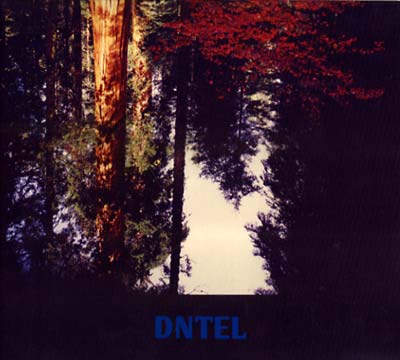DNTEL - Aimlessness | CD