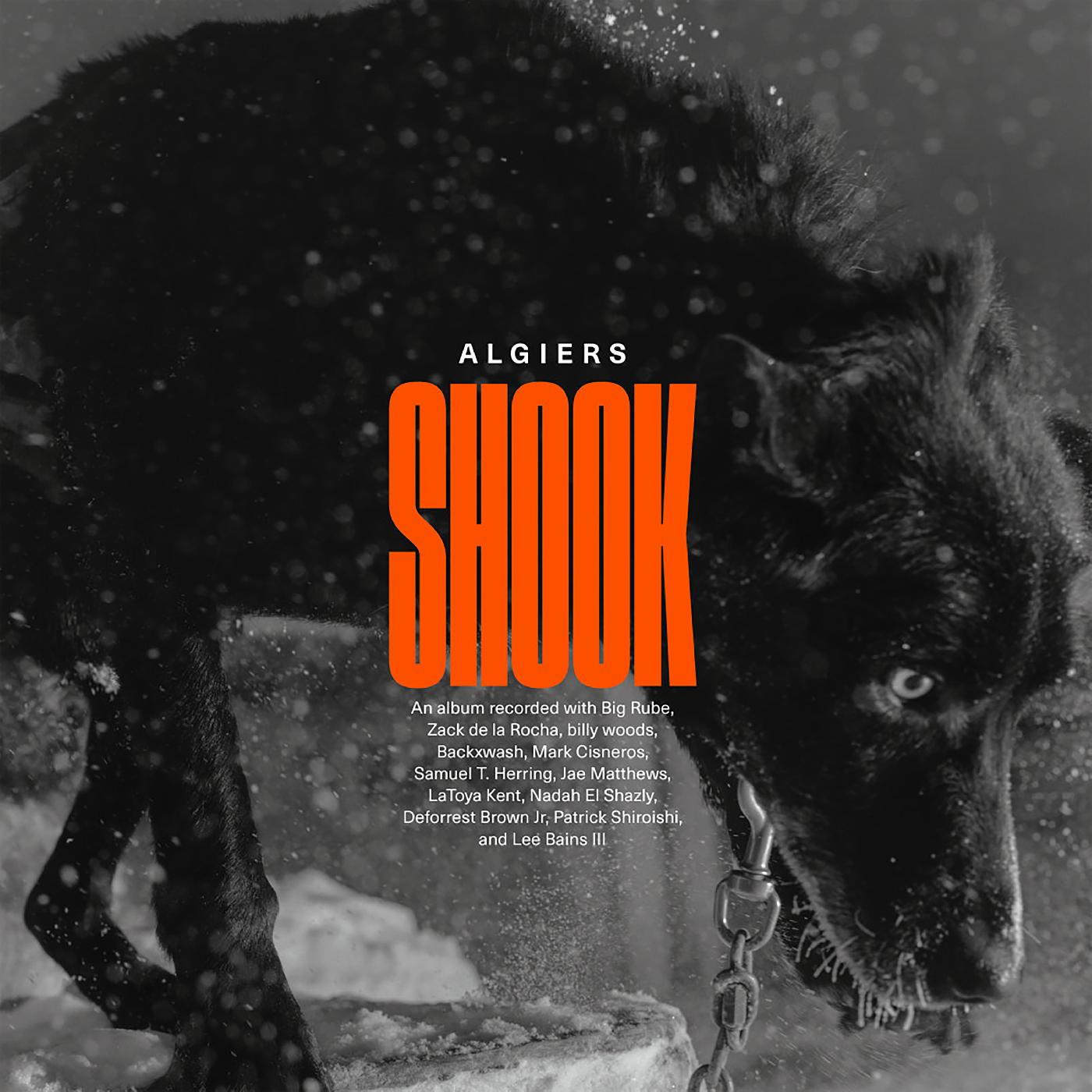 Algiers - Shook | CD