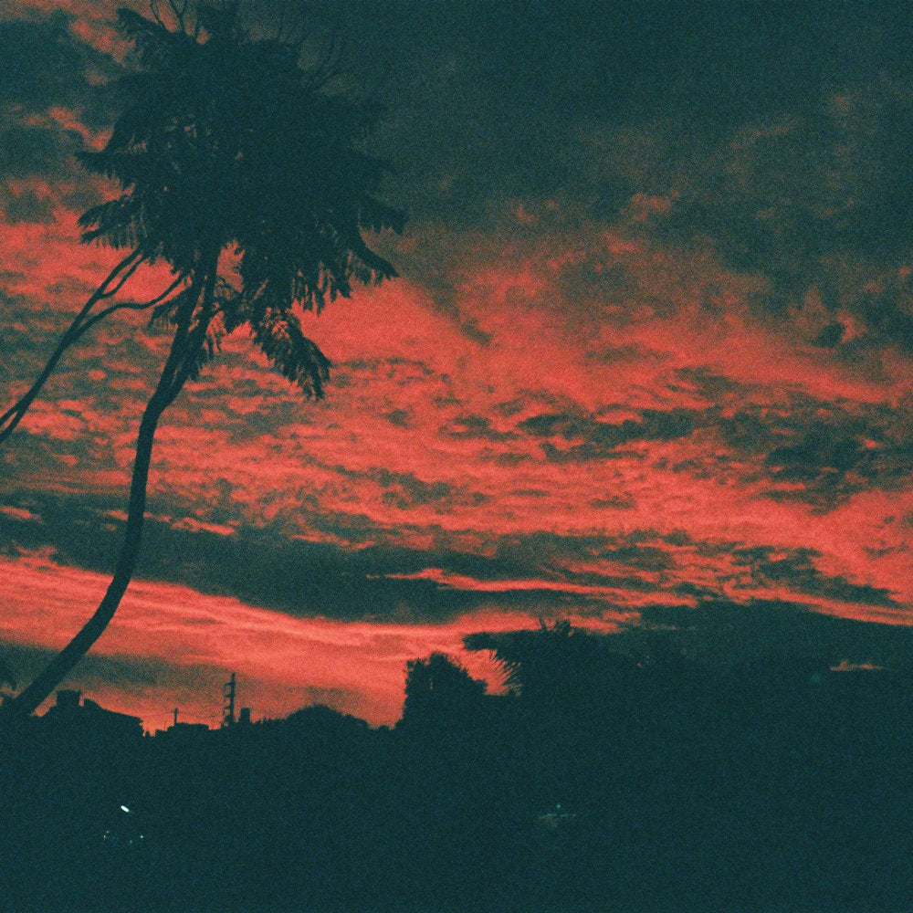 Malena Zavala - Aliso | CD