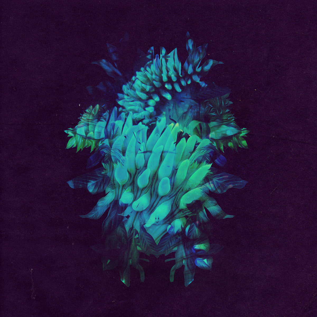 Fakear - All Glows | CD