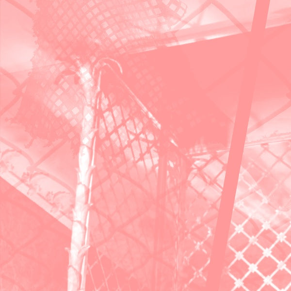 PINKCOURTESYPHONE - All Intensive Purposes | CD