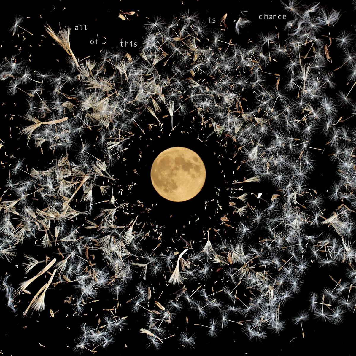 Lisa O'Neill - All Of This Is Chance | CD