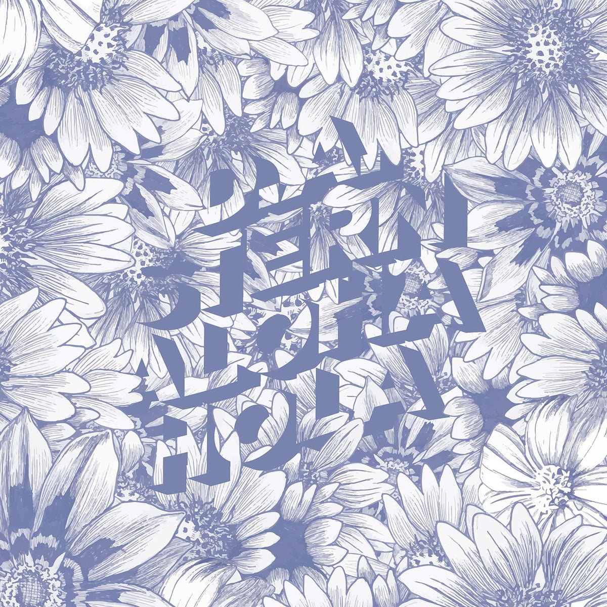 D.A. Stern - Aloha Hola | Vinyl