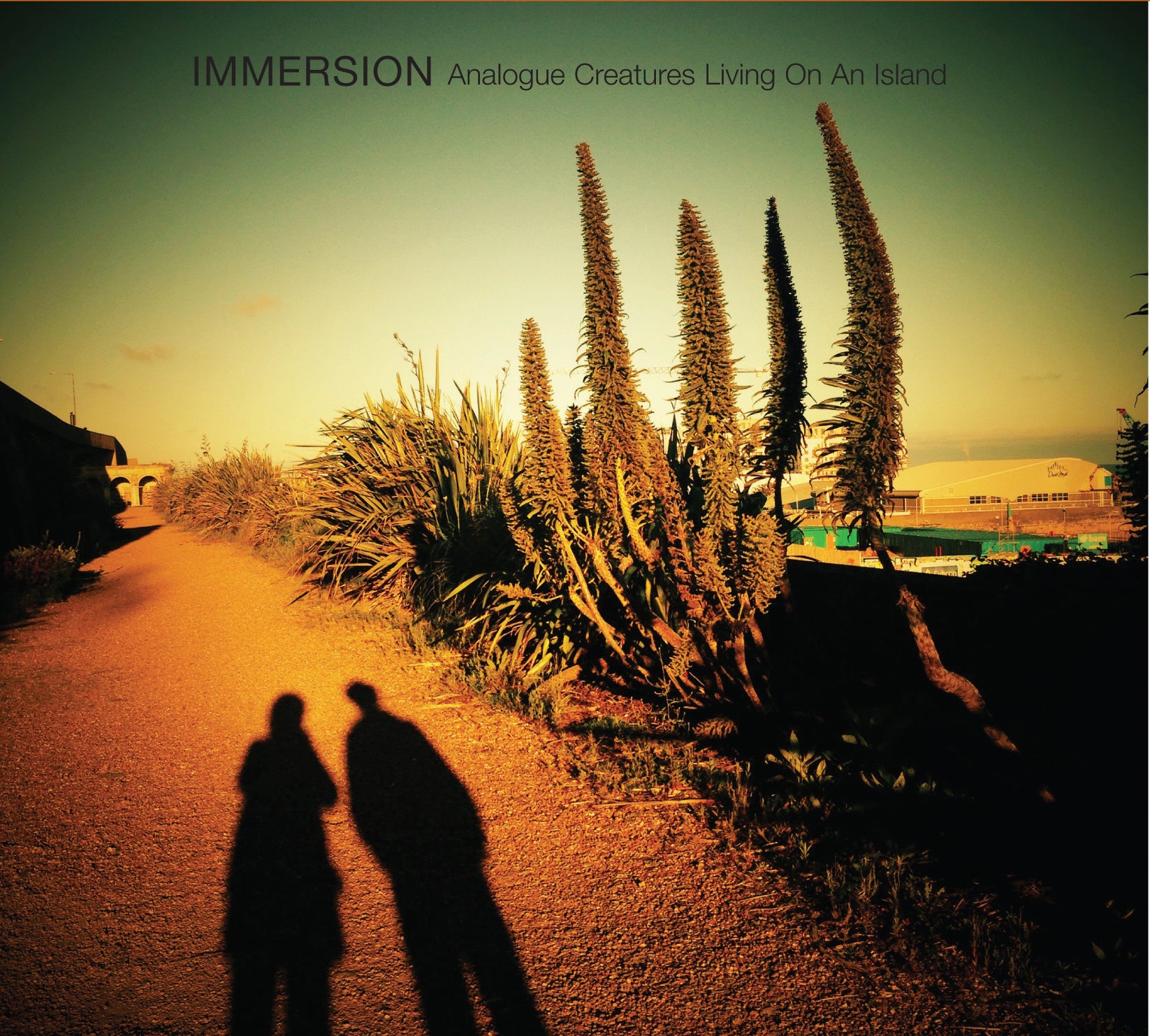 Immersion | Analogue Creatures / Living On An Island | CD