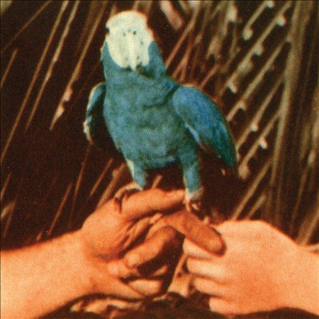 Andrew Bird - ARE YOU SERIOUS | CD
