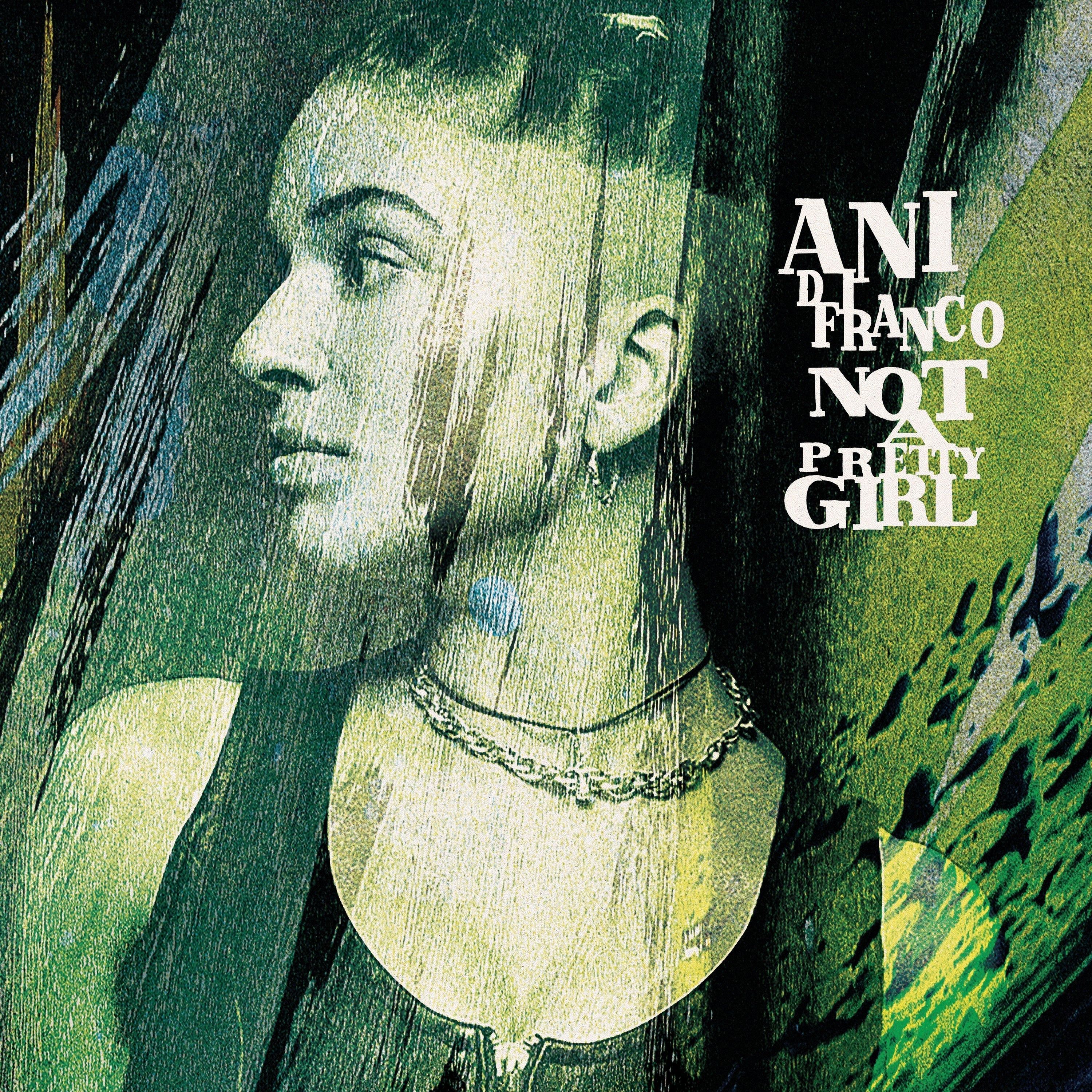 Ani Difranco - Not A Pretty Girl (30Th Anniversary Edition CD) | CD