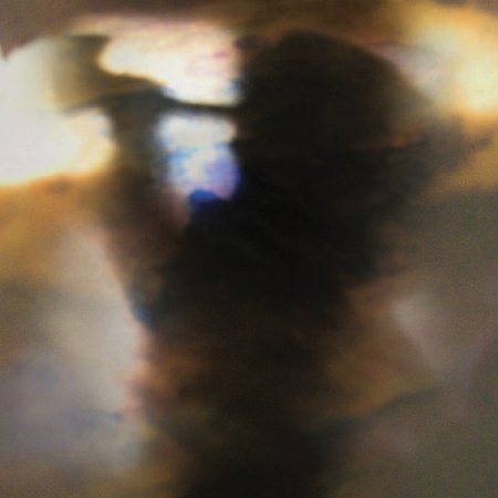 Animal Collective - Fall Be Kind | Vinyl