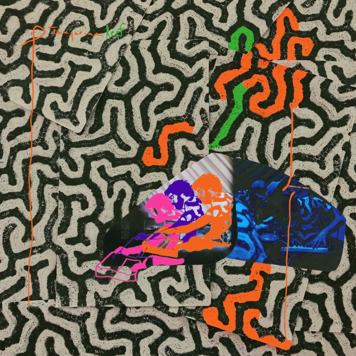 Animal Collective - Tangerine Reef (2 Lp's) | Vinyl