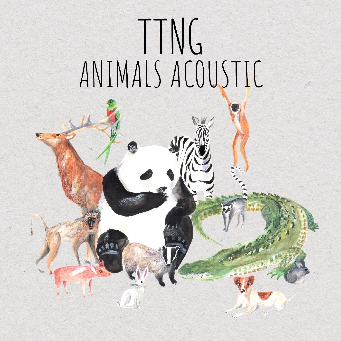 TTNG - Animals Acoustic | CD