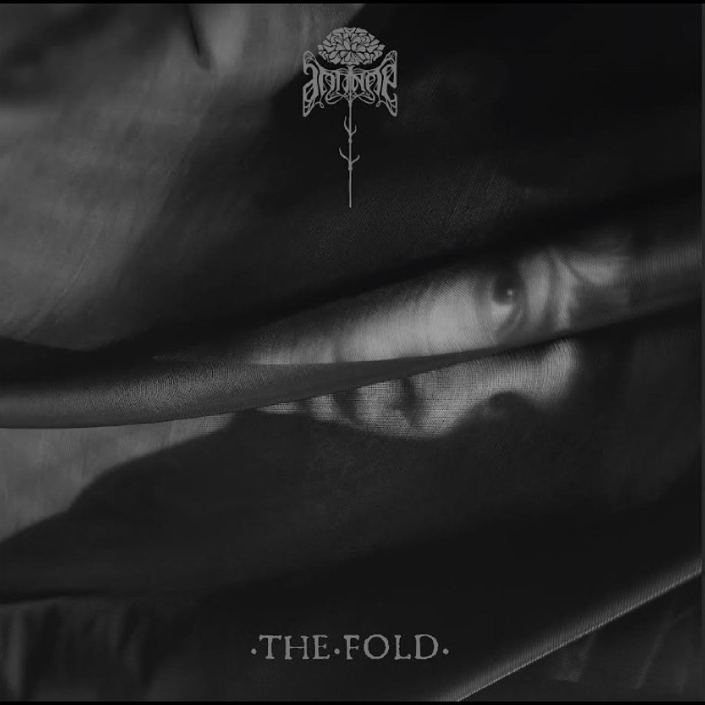 Antinoë | The Fold | Vinyl