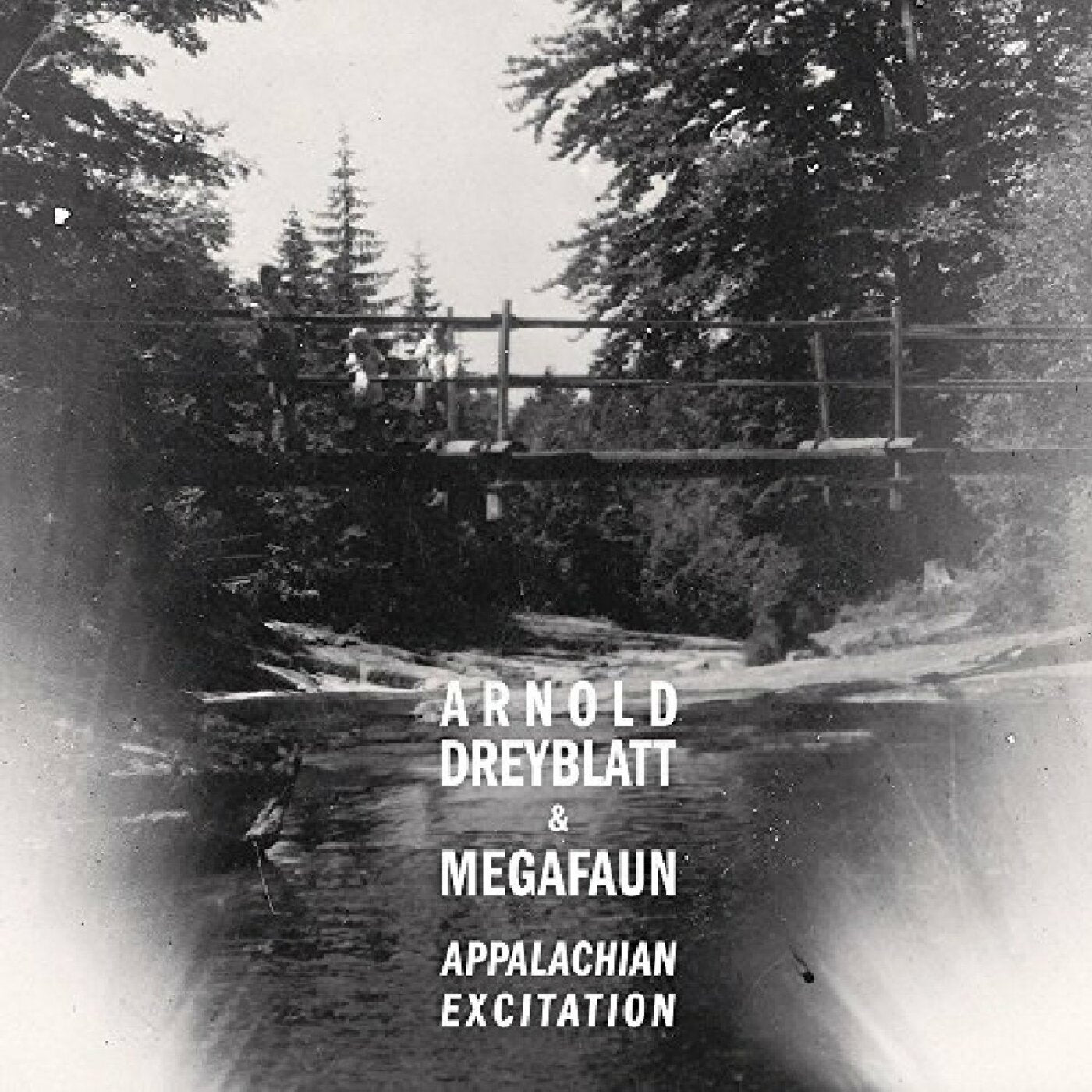 Arnold & Megafaun Dreyblatt - Appalachian Excitation | CD