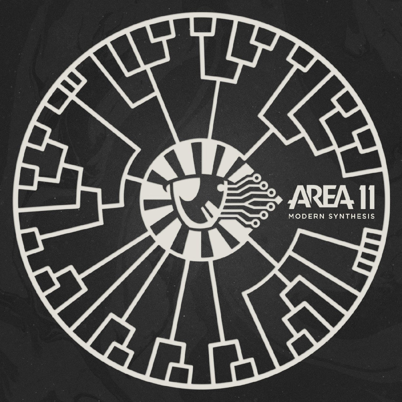 Area 11 - Modern Synthesis | CD