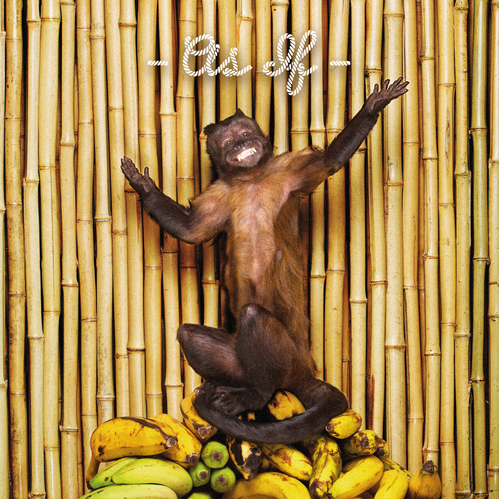 !!! (Chk Chk Chk) - As If | CD