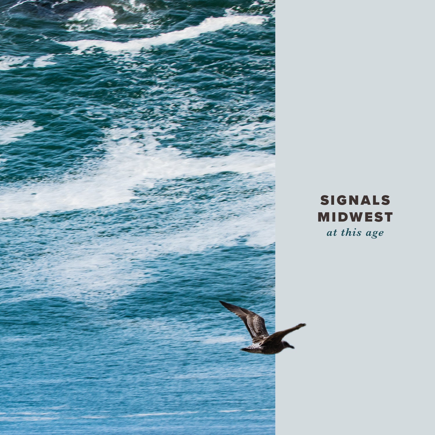 Signals Midwest - At This Age | Vinyl