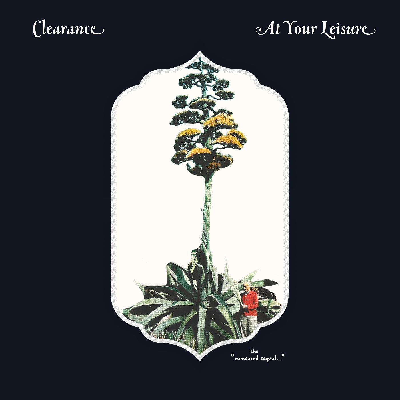 Clearance - At Your Leisure | Vinyl