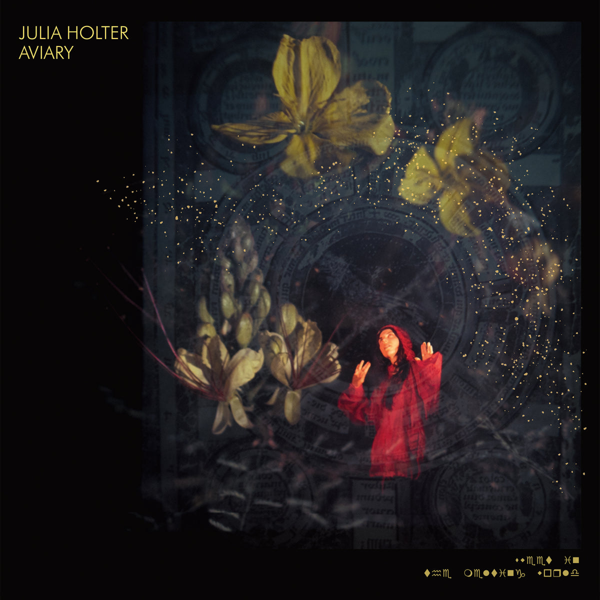 Julia Holter - Aviary | CD
