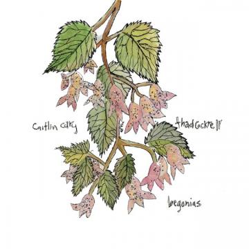 Caitlin and Thad Cockrell Cary - Begonias | CD