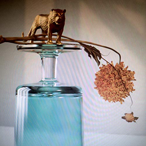 Beirut - Gallipoli (Indie Exclusive) | Vinyl