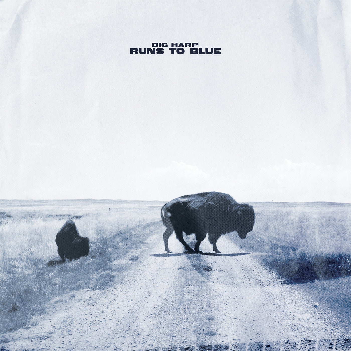 Big Harp | Runs To Blue (Opaque Blue Vinyl) | Vinyl