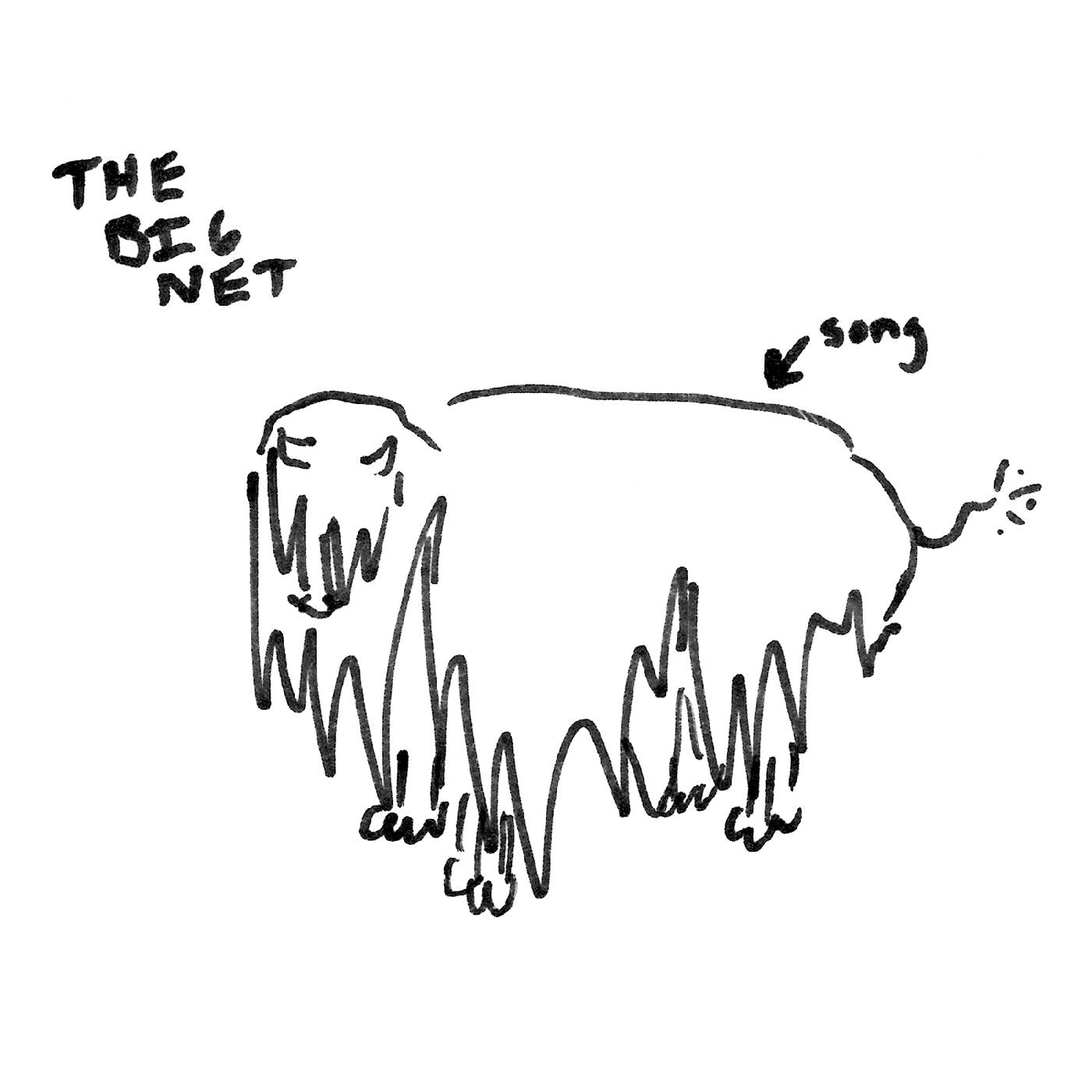 The Big Net - Big Moon b/w Rufus | Vinyl
