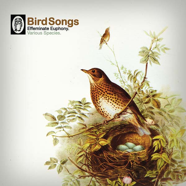 VA - Bird Songs | Vinyl