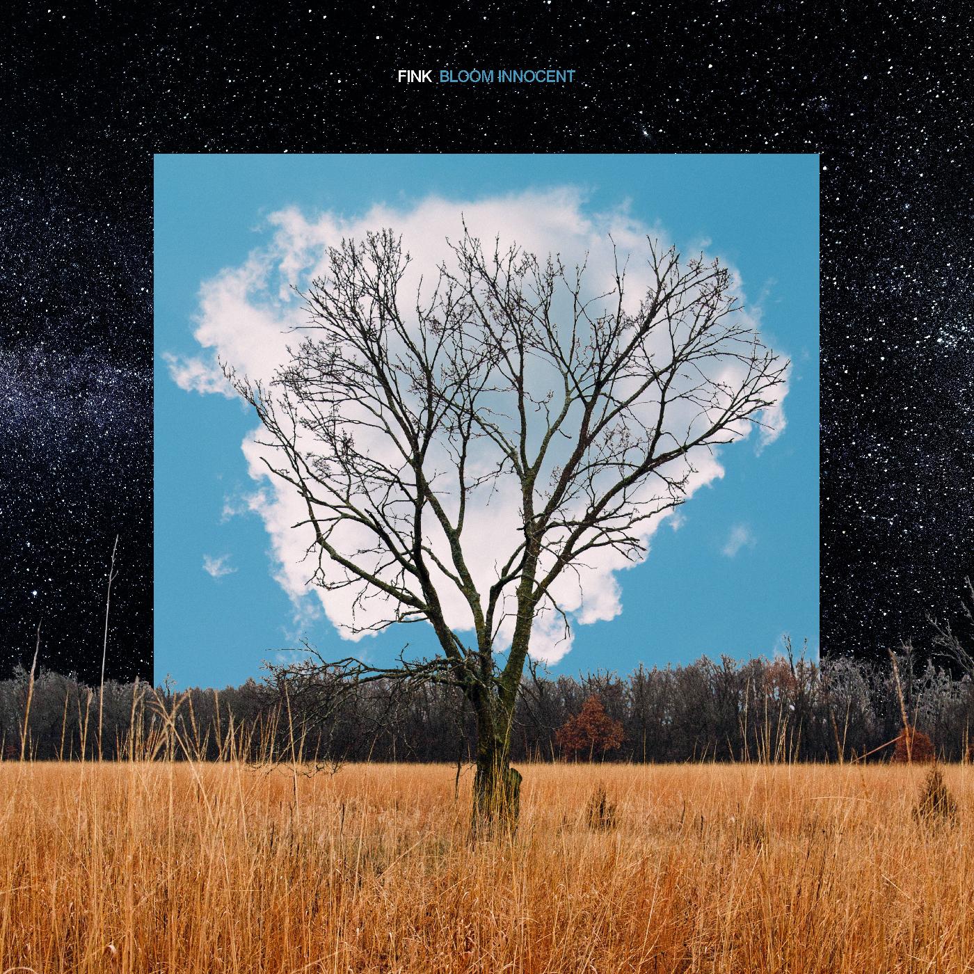 Fink - Bloom Innocent | CD
