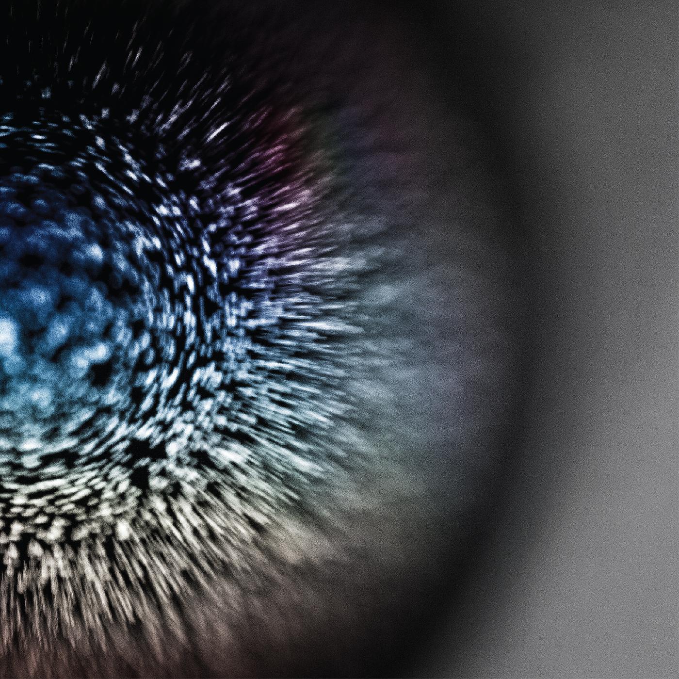 Emptyset - Blossoms | Vinyl