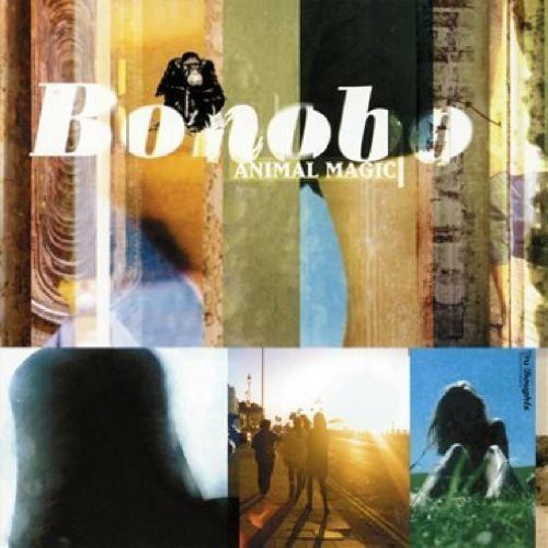 Bonobo - Animal Magic (2 Lp's) | Vinyl
