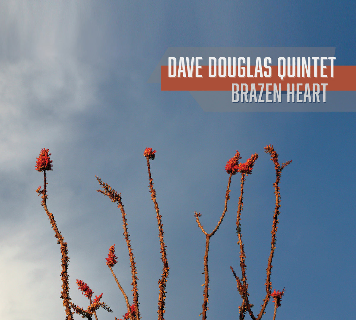 Dave Quintet Douglas - Brazen Heart | CD